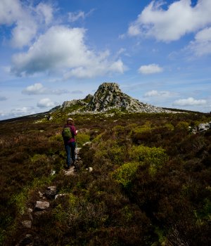 Ascent to Stiperstones/