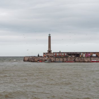 Gulls over lighthouse