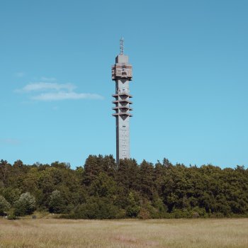 A photo of a concrete tower emerging from a forest in the midground, with long sun-dried grass in the foreground. The tower has a square profile, with a bunch of square platforms on it that are at 45 degrees to the axis of the square tower.