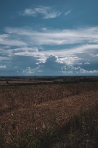 Looking out over the fens