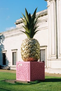 Pineapple and pink