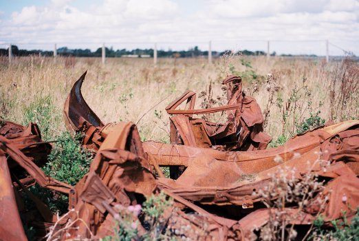 Rust in a field/