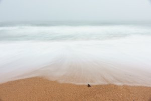 Waves in the fog