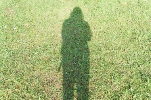 A photo of some bright sunlit grass, filling the frame. In the middle of the frame is my shadow, showing me as I hold the camera to my eye.