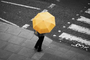 Yellow umbrella