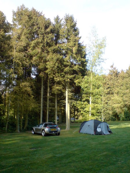 A small Smart Roaster car next to a similarly sized tent dwarfed by some very tall fir trees.