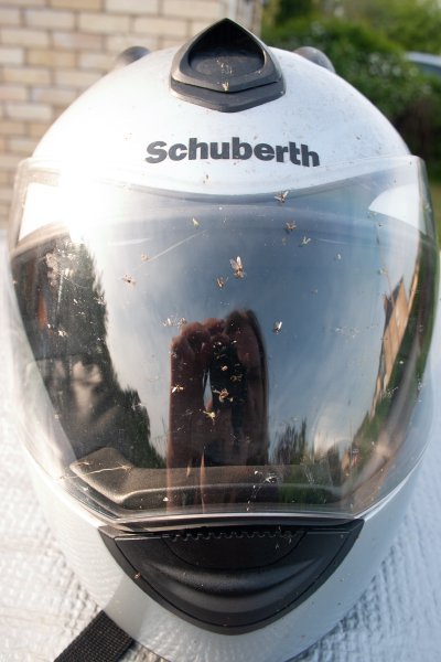 A photo of a motorcycle helmet with the visor plastered with deceased bugs.