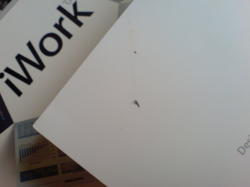 The box to Apple's iWork showing a clearly squished bug on the box (it shipped this way!)