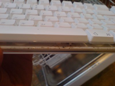 A view of the white apple keyboard that has a clear plastic side tray, which you can see is full of crumbs.