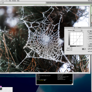 A screenshot of a classic macOS 9 desktop running photoshop, editing a photo of a frozen spiders web.