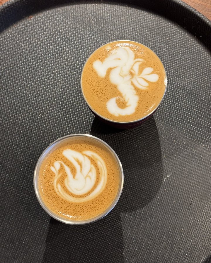 A photo of two cups of coffee showing the amazing latte art - one looks like a swan, and the other a seahorse.