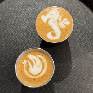 A photo of two cups of coffee showing the amazing latte art - one looks like a swan, and the other a seahorse.