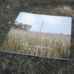 A photo of the cover of the zine, showing a boat mast behind some reeds.